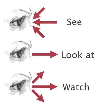 Illustration de l'article : Look, see, watch – Mot à ne pas confondre en anglais – Vidéo