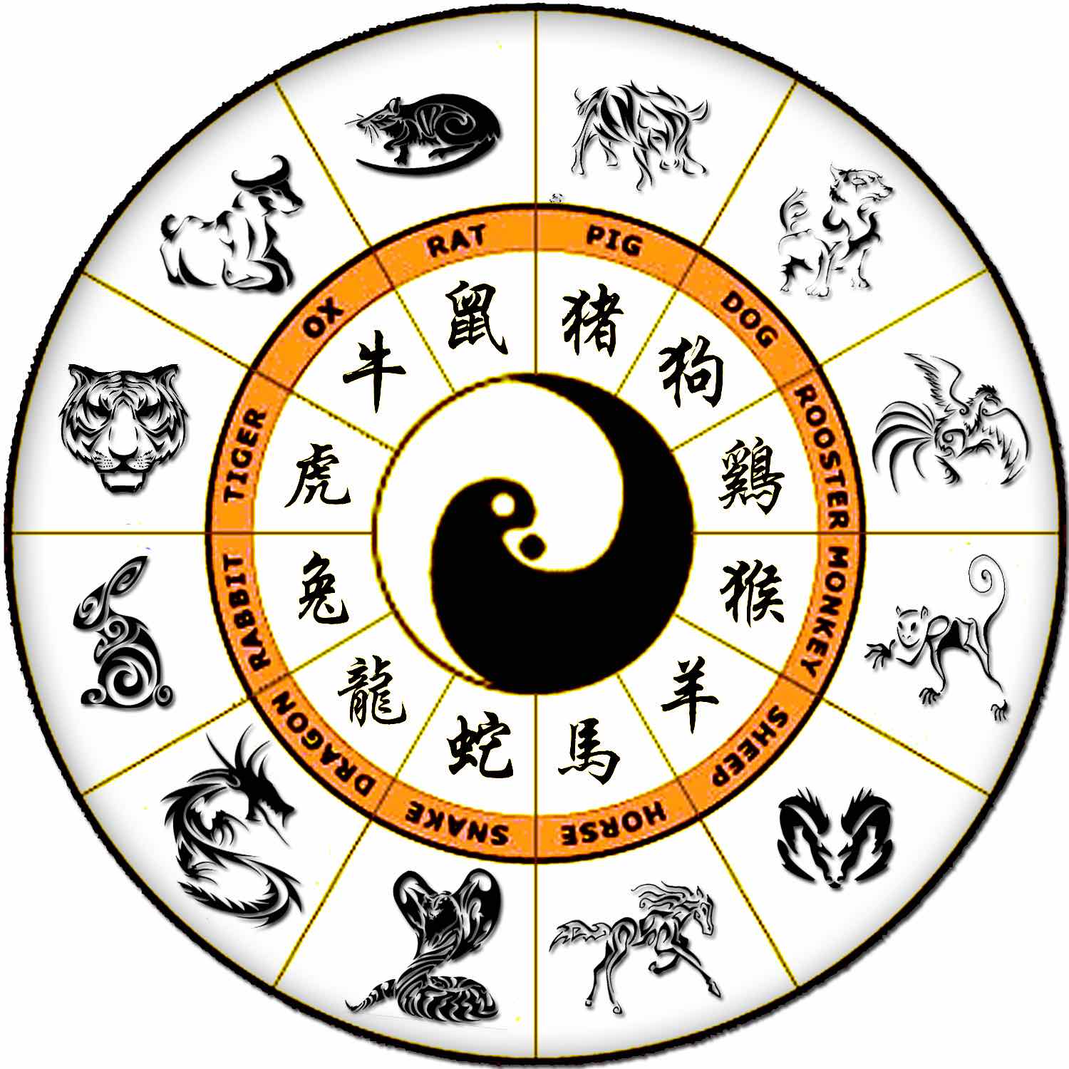 Illustration de l'article : Les 12 signes du zodiaque chinois en anglais – Vocabulaire astrologie